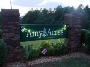 Beautiful New Lighted Sign